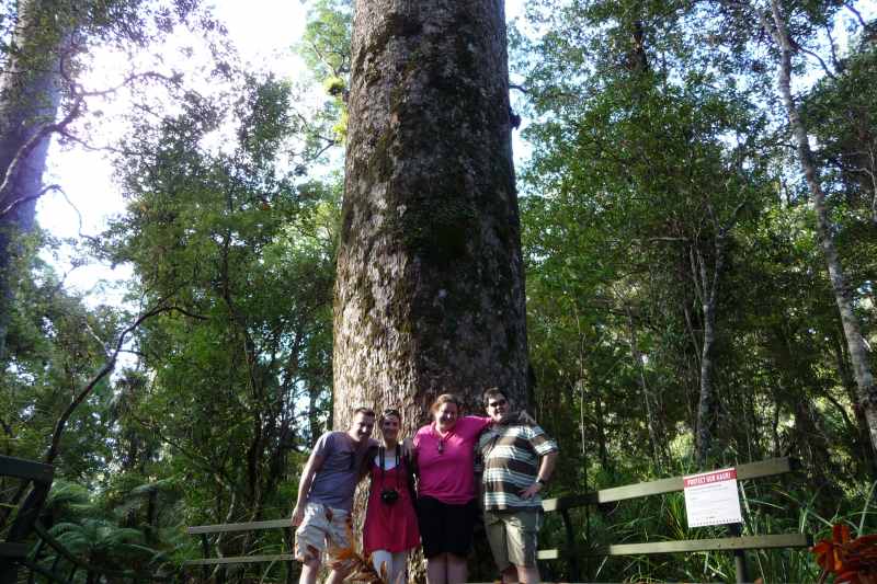 Nieuw-Zeeland 2011 - 0274